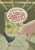 Bed & Biscuit #01: Welcome to the Bed & Biscuit