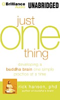Just One Thing: Developing a Buddha Brain One Simple Practice at a Time