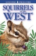 Squirrels of the West