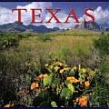 Texas (America)