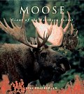 Moose: Giants of the Northen Forest