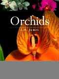 Orchids