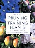 Pruning and Training Plants: A Complete Guide