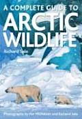 A Complete Guide to Arctic Wildlife