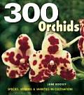 300 Orchids: Species, Hybrids and Varieties in Cultivation