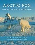 Arctic Fox: Life at the Top of the World