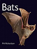 Bats
