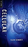 Cellular (Orca Soundings)