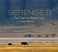 Serengeti: The Eternal Beginning
