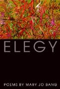 Elegy: Poems