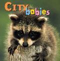 City Babies Cover