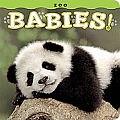 Zoo Babies! (Babies!)