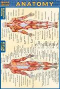 Anatomy Quickstudy Pocket Sized