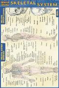 Skeletal System Quickstudy Pocketsized