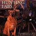Hunting Labs: A Breed Above the Rest Cover