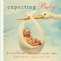 Expecting Baby: Nine Months of Wonder, Reflection, and Sweet Anticipation Cover