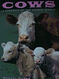 Cows (Portrait of the Animal World)