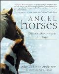 Angel Horses: Divine Messengers of Hope
