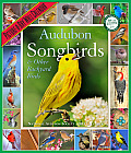 Audubon Songbirds & Other Backyard Birds Picture-A-Day Wall Calendar Cover