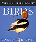 Audubon Birds Gallery Calendar 2013 Cover