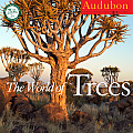 Audubon the World of Trees Calendar Cover