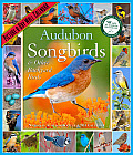 Audubon Songbirds & Other Backyard Birds Calendar