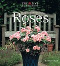 Foolproof Guide To Growing Roses