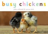 Busy Chickens (Busy Book)
