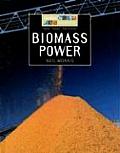 Biomass Power (Energy Sources)