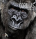 Gorillas (Living Wild)
