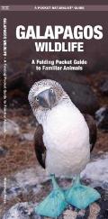 Galapagos Wildlife: An Introduction to Familiar Species (Pocket Traveller)