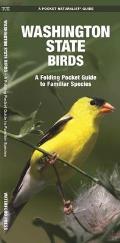 Washington Birds (Pocket Naturalist)
