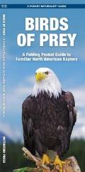 Birds of Prey: An Introduction to Familiar North American Species (Pocket Naturalist) Cover