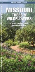 Missouri Trees & Wildflowers: An Introduction to Familiar Species (Pocket Naturalist) Cover