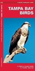 Tampa Bay Birds: An Introduction to Familiar Species (Pocket Naturalist)