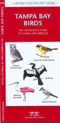 Tampa Bay Wildlife: An Introduction to Familiar Plants and Animals (Pocket Naturalist)