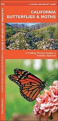 California Butterflies & Moths: An Introduction to Familiar Species (Pocket Naturalist)