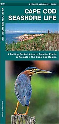 Cape Cod Seashore Life: An Introduction to Familiar Plants & Animals in the Cape Cod Region (Pocket Naturalist) Cover