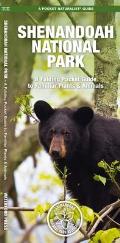 Shenandoah National Park: An Introduction to Familiar Plants & Animals (Pocket Naturalist Guide)