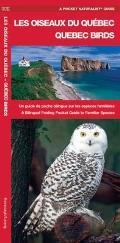 Quebec Birds: A Bilingual Folding Pocket Guide to Familiar Species (Pocket Naturalist Guides)