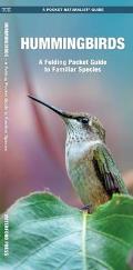 Hummingbirds: A Folding Pocket Guide to North American Species (Pocket Naturalist Guides)