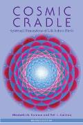 Cosmic Cradle: Spiritual Dimensions of Life Before Birth