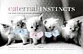 Caternal Instincts: The Feline Guide to Mastering Motherhood