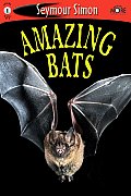 Seemore Readers Amazing Bats (Level (Seemore Readers: Level 1) Cover