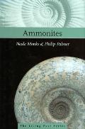 Fossil Ammonites