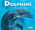 Dolphins Cover