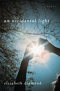 An Accidental Light Cover