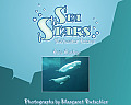 Sea Stars: Saltwater Poems Cover