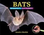 Bats: Biggest! Littlest! (Biggest! Littlest!)