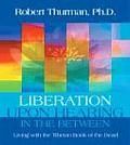 Liberation Upon Hearing in the Between: Living with the Tibetan Book of the Dead